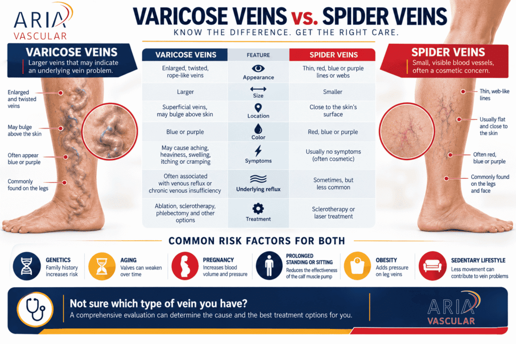 Infographic compares varicose veins vs spider veins, showing photos, causes, symptoms, risk factors, and treatments. Includes enlarged leg veins, diagrams, and text emphasizing the differences between varicose veins vs spider veins as well as evaluation options. Aria Vascular logo appears. - ARIA Vascular | vascular surgery and interventional Radiology